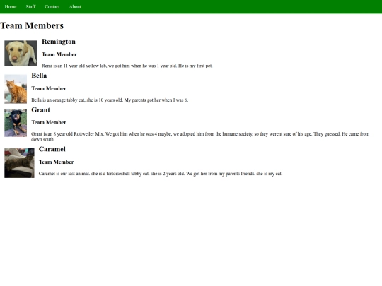 teampage screenshot