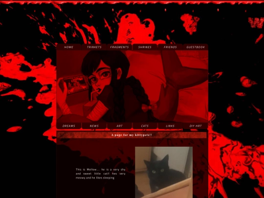 cats screenshot