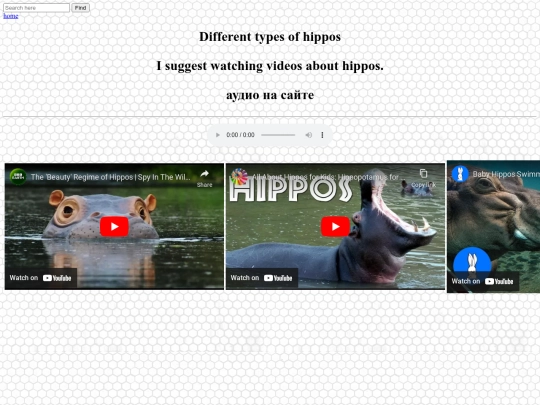 hippopotamus screenshot