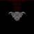 infirmux.neocities.org avatar