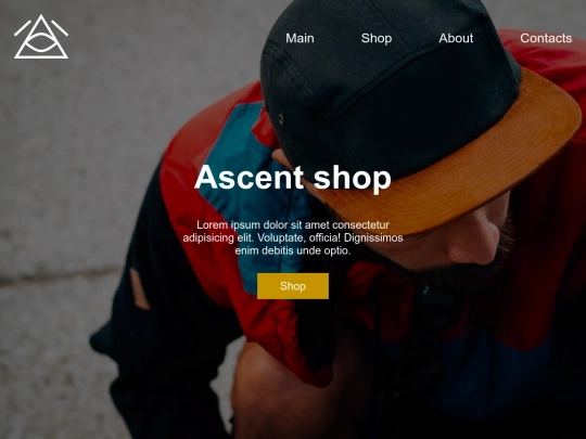 flex-site-shop screenshot