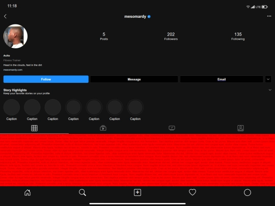 clone/instagram screenshot