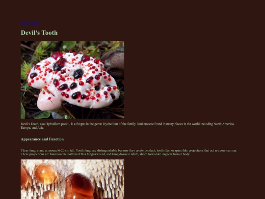 art/bleedingtooth screenshot