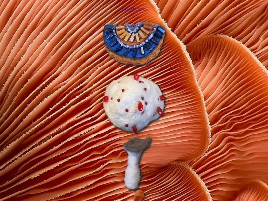 art/mushroom screenshot
