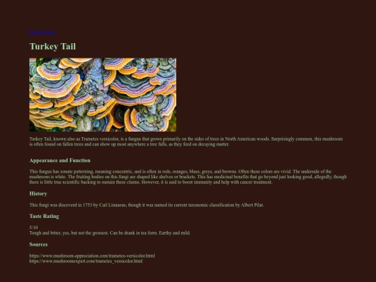 art/turkeytail screenshot