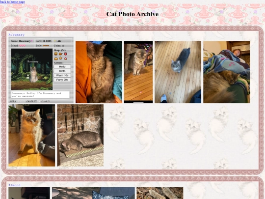 cat/cat-photos screenshot