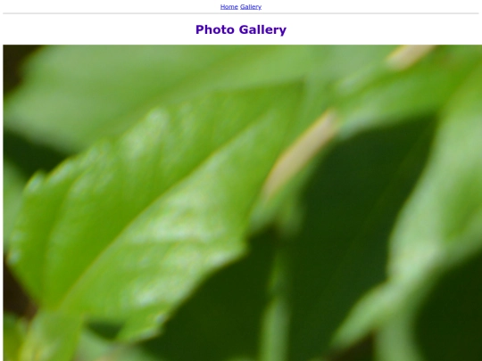 gallery screenshot