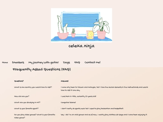 faq screenshot