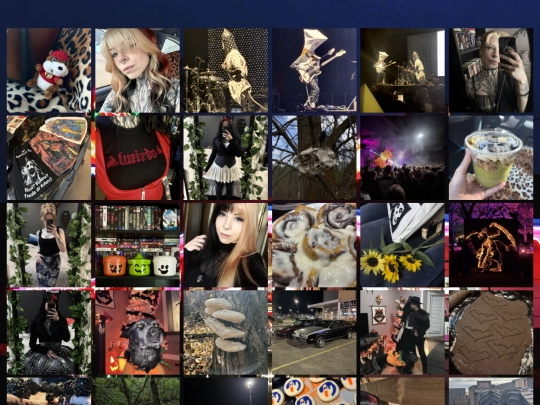 photoalbum screenshot