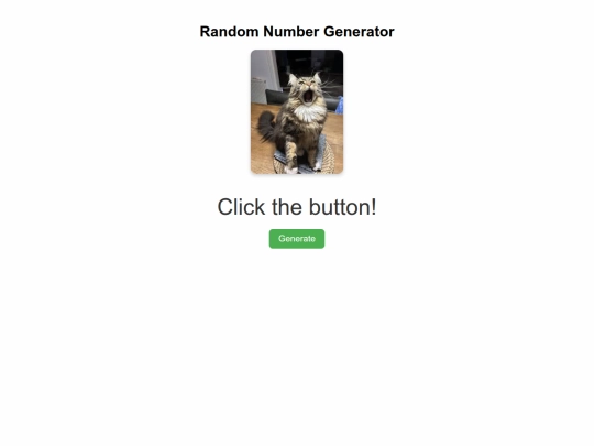 randomnumber screenshot