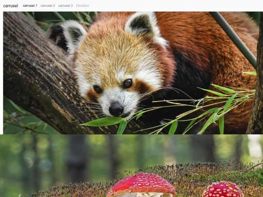 carrusel/carrusel1 screenshot