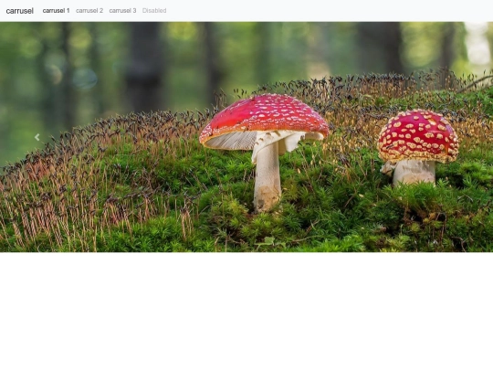 carrusel/carrusel2 screenshot