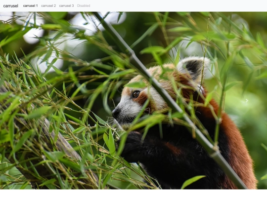 carrusel/carrusel3 screenshot