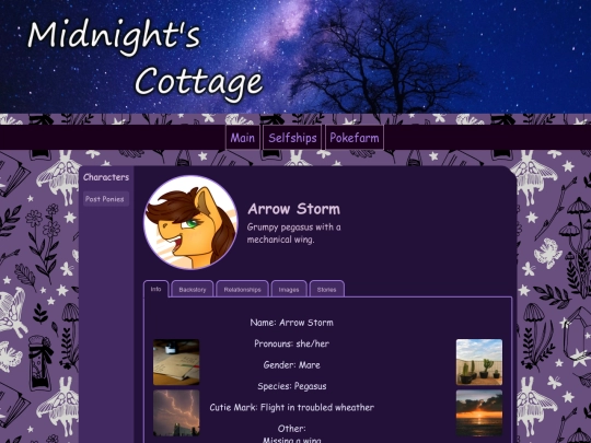 profiles/profilestest screenshot