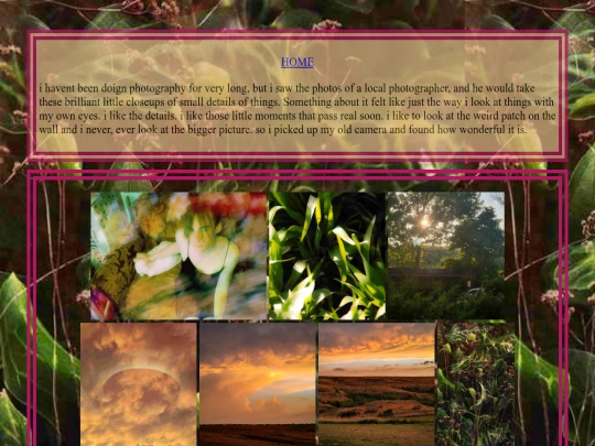 main/photography screenshot