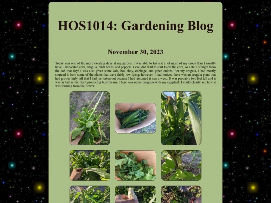 vegetable-gardening screenshot
