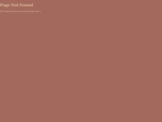 notFound screenshot