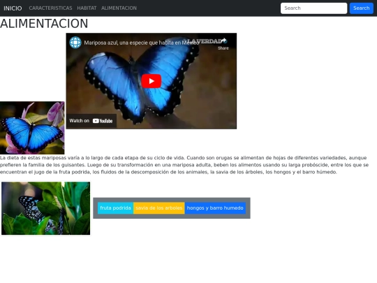pagina/Pagina3 screenshot