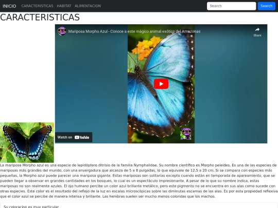 pagina/pagina1 screenshot