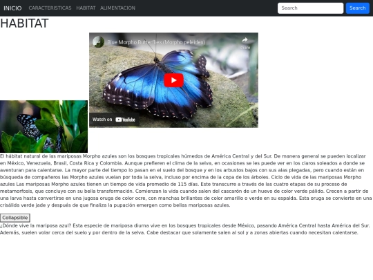 pagina/pagina2 screenshot