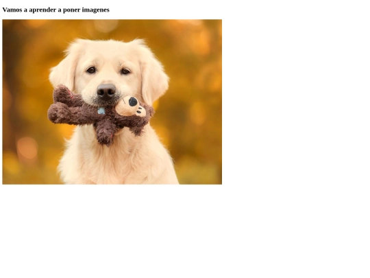 imagen screenshot