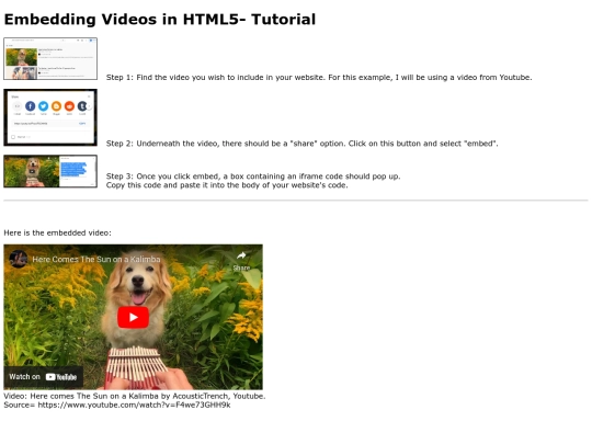 embedding-videos screenshot