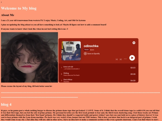 personalblog screenshot