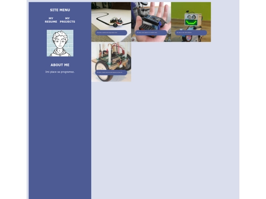 projects screenshot