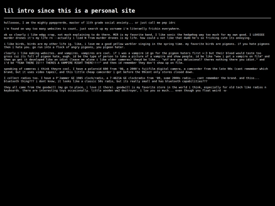 pages/intro screenshot