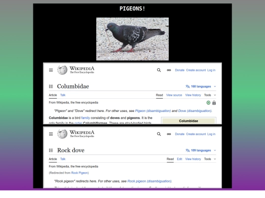pages/pigeons screenshot