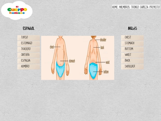 tronco screenshot