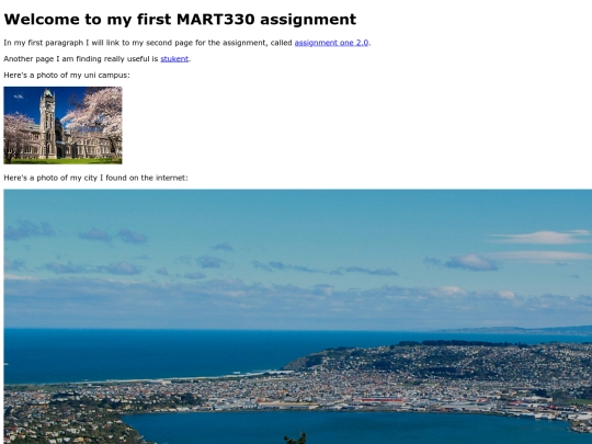 assignmentone screenshot