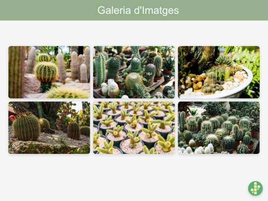 Galeria dimatges screenshot