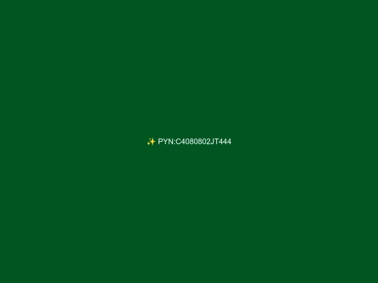PYNC4080802JT444 screenshot