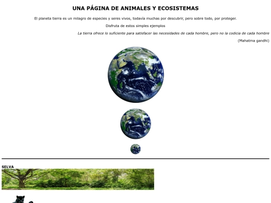 practica5/practica5 screenshot