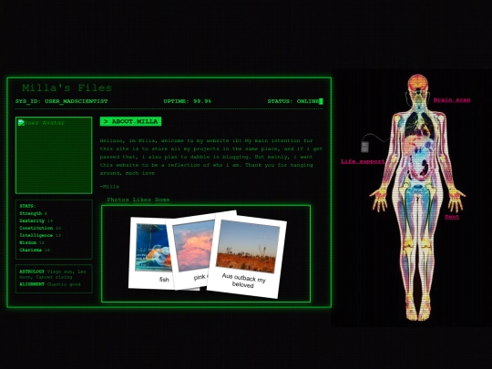 laptop screenshot