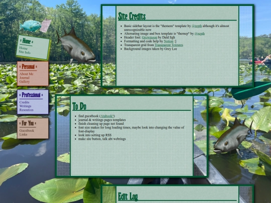 site_info screenshot