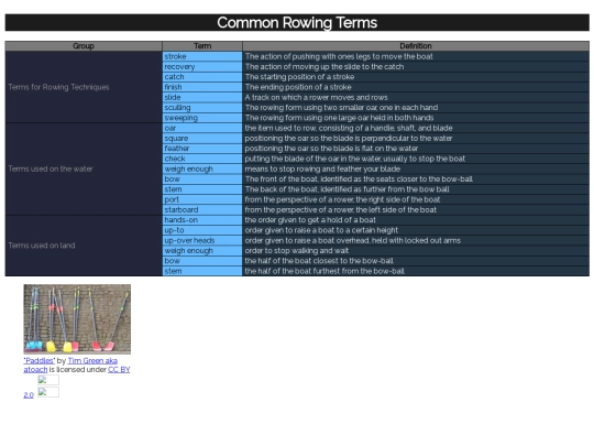 Final-Project/Terminology screenshot