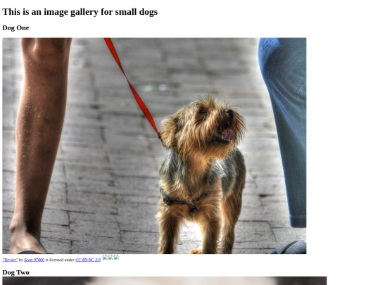 Images/Image-Gallery_Will-Norman screenshot
