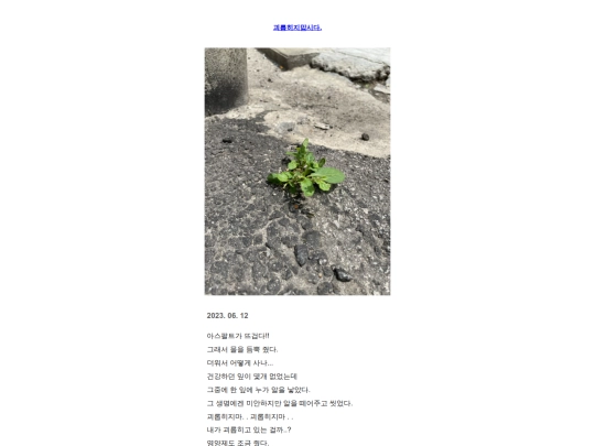 k12 screenshot