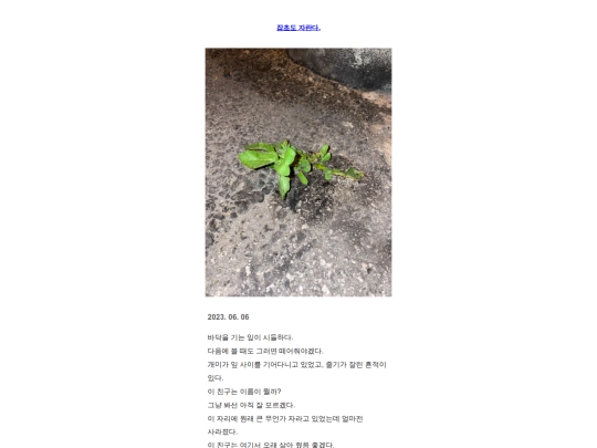 k6 screenshot