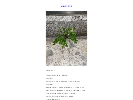 m13 screenshot
