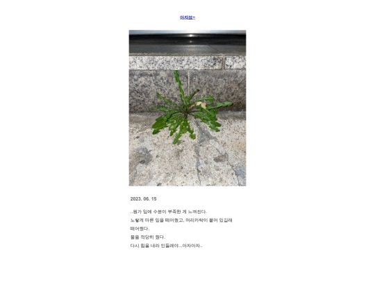 m15 screenshot