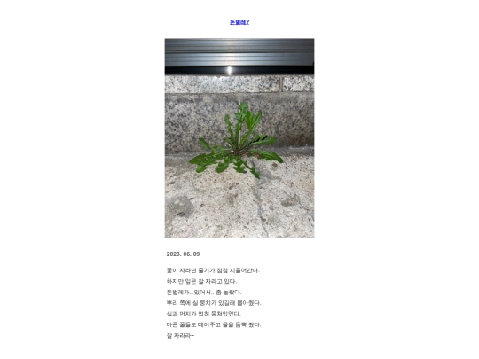 m9 screenshot