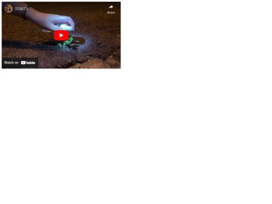 vk15 screenshot