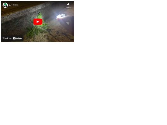 vm10 screenshot