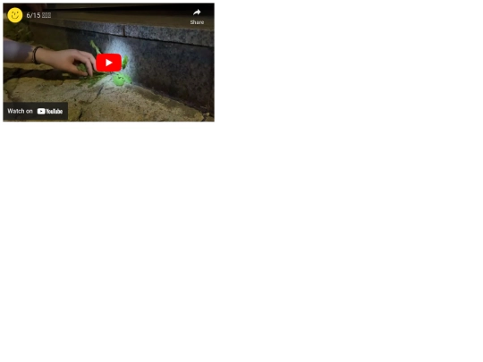 vm15 screenshot