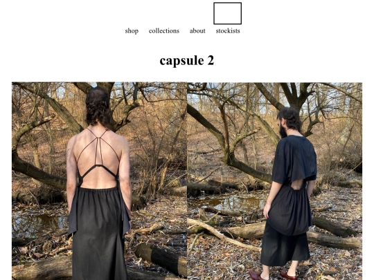 capsule2 screenshot