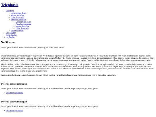 no-sidebar screenshot