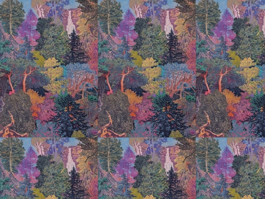 collections screenshot